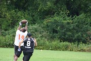 OTFL Gallery Image